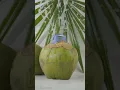 Download Lagu Tugas Iklan Hydro Coco Neng Wafi \u0026 Reva Anindia XI RTL 1