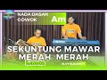 Download Lagu Sekuntum mawar merah - Elvi sukaesih nada pria Am versi koplo