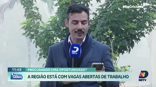 Região Sul de SC tem mais de 200 vagas de emprego abertas