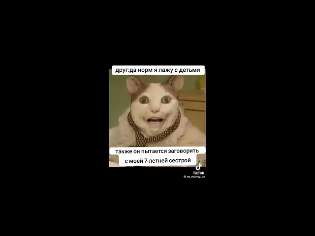 Мем