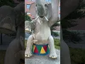 Download Lagu Swedish Elephant Art #sweden #elephant #art #shorts