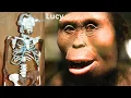 Lucy the Most Important Link of Human Evolution New Findings