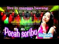 PECAH SERIBU SELVI NOVITA NEW JABEJO