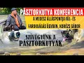 Download Lagu MEOESZ (FCI) álláspont fül- és faropkvágás ügyben
