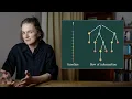 Astonishing discovery by computer scientist how to squeeze space into time