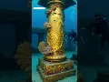 Download Lagu Dwarka nagri in water ☺️ #dwarka #dwarkadhish #dwarkadhishstatus #ytshorts #viralvideo #shortvideo