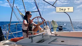 Champagne sailing across the Atlantic // Atlantic Crossing Daily Vlog #7