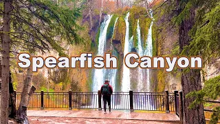 3 Waterfalls in 1 Day Spearfish Canyon Travel Guide South Dakota Black Hills