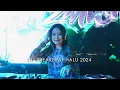 Lagu DJ SALZARICH - BREAKBEAT SHADOW STADIUM 2024