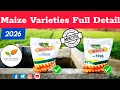 Lagu 9108 ਮੱਕੀ ਤੋਂ ਇਲਾਵਾ Bayer Dekalb 9208 and dekalb 9248 Varieties details 2026