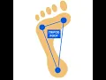 Tripod Training - Neutral Stance