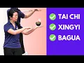 Download Lagu Sun Style Is Tai Chi PLUS Xingyi And Bagua