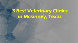 3 Best Veterinary Clinics in Mckinney Texas Animal Hospitals