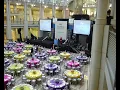 Westinghouse Science Talent Search Wikipedia article