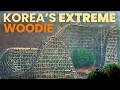 T-Express Review The Tallest Fastest and Longest Wooden Roller Coaster in Asia - Everland