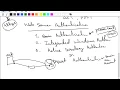 Loop Avoidance Nanda Day9 Web Server Part04