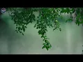 528 Hz 🌿 Nervous System Flush & Deep Trauma Release 🌧️ With Gentle Rain | Meditation Music