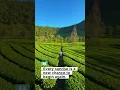 Peaceful Village Life in Java Inspiring Quote