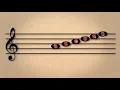 THE INTERNET PARROT DICTIONARY - Music Theory Basics