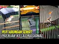 Download Lagu PERTARUNGAN SENGIT 3 PRENJAK KELAS NASIONAL