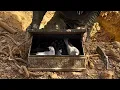 Lagu The Strangest Treasure Discovery Ever Caught on Camera ❌ [ TREASURE HUNT BY METAL DETECTOR ]