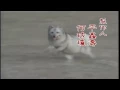 姜育恒 梅花三弄《梅花烙》主题曲