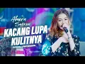 Download Lagu KACANG LUPA KULITNYA - ALMERA SABRINA (Official Lirik Version)