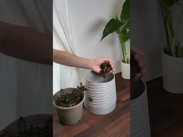 Flowing Planter video thumbnail