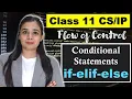 PYTHON - Conditional Statements if-elif-else CBSE Class Lovejeet Arora