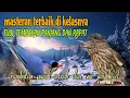 Download Lagu Masteran burung lombahan terbaik di kelasnya 🔥 rambatan paruh merah dan siri siri kecil 