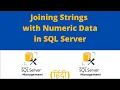 Joining Strings with Numeric Data in SQL Server Querying MS SQL Server Using T-SQL