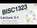 BISC1323 - Recorded Lecture 3-1 4 0
