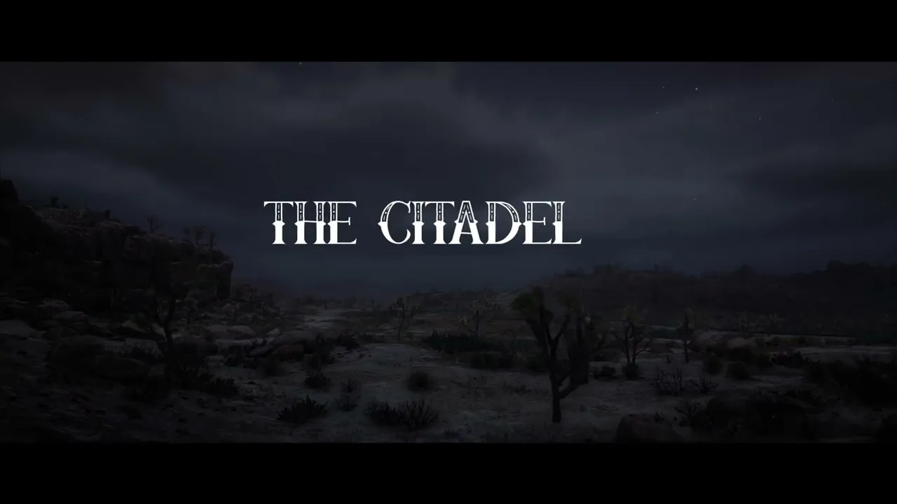 The Citadel MLO
