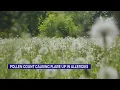 Pollen count causing flare up in allergies in TN