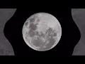 Erwin Gutawa – Memori (Official Visualizer) #SYMPHONESIA