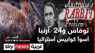توماس و    أرنبا   أسوأ كوابيس أستراليا    وثائقيات خاصة دندنها