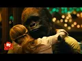 Zookeeper 2011 - Gorilla at TGI Fridays Scene Movieclips