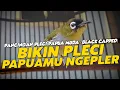 Download Lagu TERAPI PLECI PAPUA NGEPLEERRR (VIDEO LOOPING)