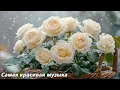 Download Lagu Самая красивая мелодия в мире🌿Хочется слушать вечно🌿Музыка Сергея Грищука #2