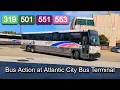 NJ Transit 319 501 551 553 Bus Action at Atlantic City Bus Terminal