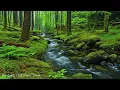 Download Lagu Healing Nature Ambience 🍃 Relaxing Music \u0026 Nature Sounds for Stress Relief, Sleep Music
