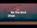 Be the Bird - RHODES (Tradução/PT - BR)