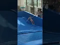 Surf and Slip Oops LOL