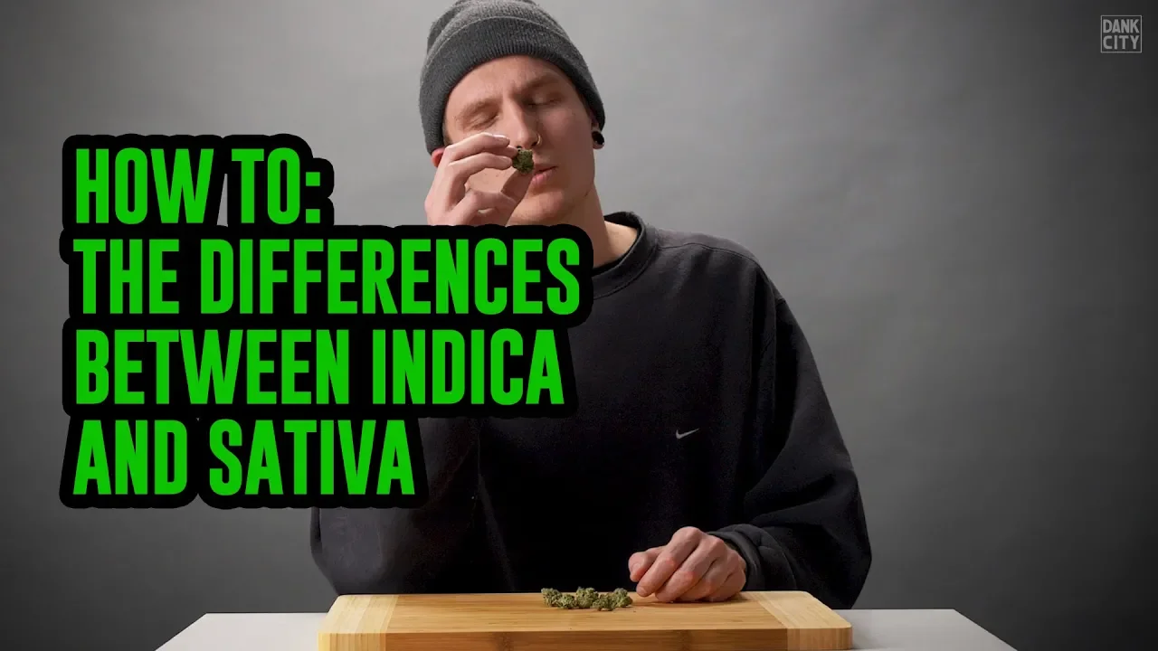 How To: Indica or Sativa?