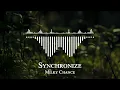 Milky Chance - Synchronize