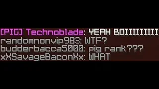 PIG RANK ON HYPIXEL