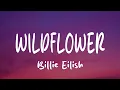 Lagu Billie Eilish - WILDFLOWER (Lyrics)