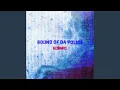 Download Lagu Sound Of The Police