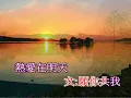 結識你那一天 (甜蜜蜜)(合唱)(音樂伴奏)(懷舊金曲)