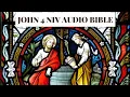 JOHN 4 NIV BIBLE with text